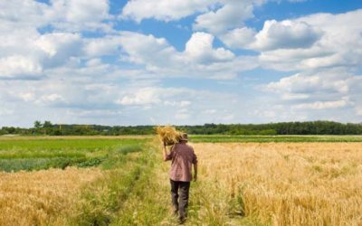 Guillén Calvo a animé une table ronde sur le rôle du secteur privé dans les processus de développement territorial