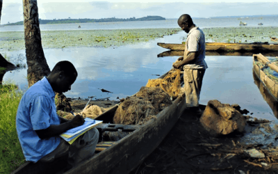 Impact study of the Atinkou thermal power plant – Ivory Coast