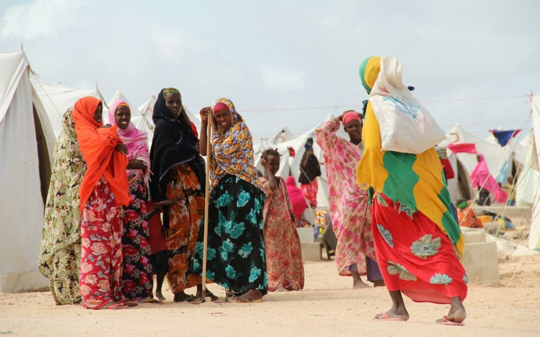 Development of a participatory diagnostic study and writing of action plans on the implementation of the national law on refugees – Djibouti