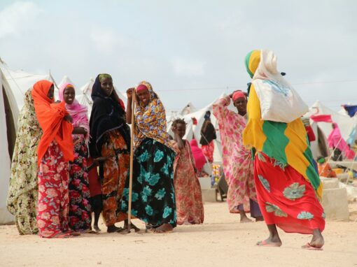 Development of a participatory diagnostic study and writing of action plans on the implementation of the national law on refugees – Djibouti