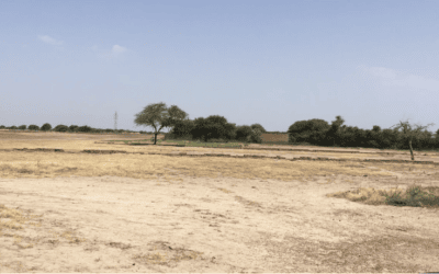 Due Diligence social para Proparco en Chad en el marco del proyecto de planta solar de Djermaya en 2019 – Chad