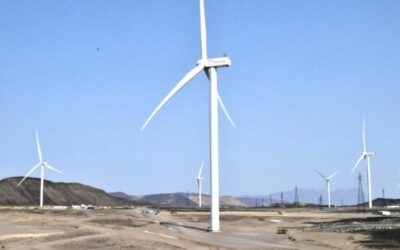 On-the-ground support for a wind farm project in Le Goubet – Djibouti