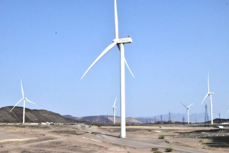On-the-ground support for a wind farm project in Le Goubet – Djibouti