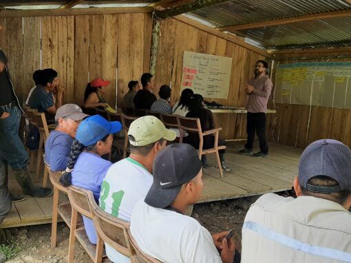 Stratégie d’engagement des parties prenantes pour le projet minier de Cascabel- Equateur