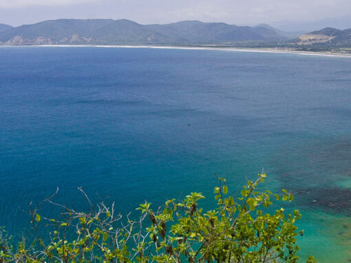 Preliminary study of the sectoral diagnosis and public policy recommendations on the protection and sustainable management of marine and coastal areas – Ecuador