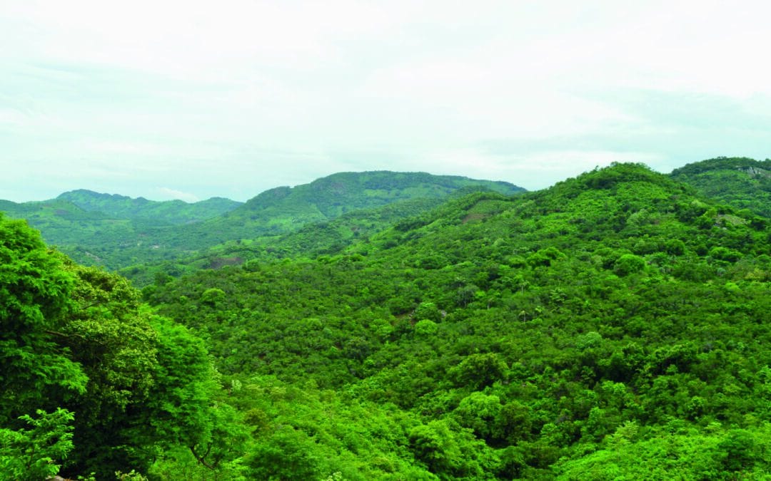 Programme de renforcement des capacités en matière de conservation, de développement socio-productif, d’environnement communautaire, d’environnement et de droits de l’homme – Equateur