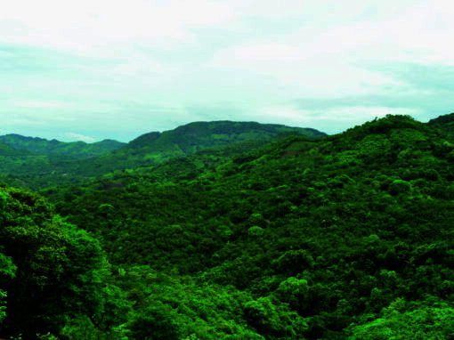 Programa de fortalecimiento de capacidades en conservación, desarrollo socioproductivo, ambiente comunitario, medio ambiente y derechos humanos – Ecuador