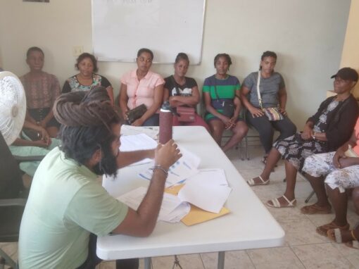 Evaluation externe auprès des bénéficiaires de Palmis Mikwofinans Sosyal (PMS) en Haïti – Haïti