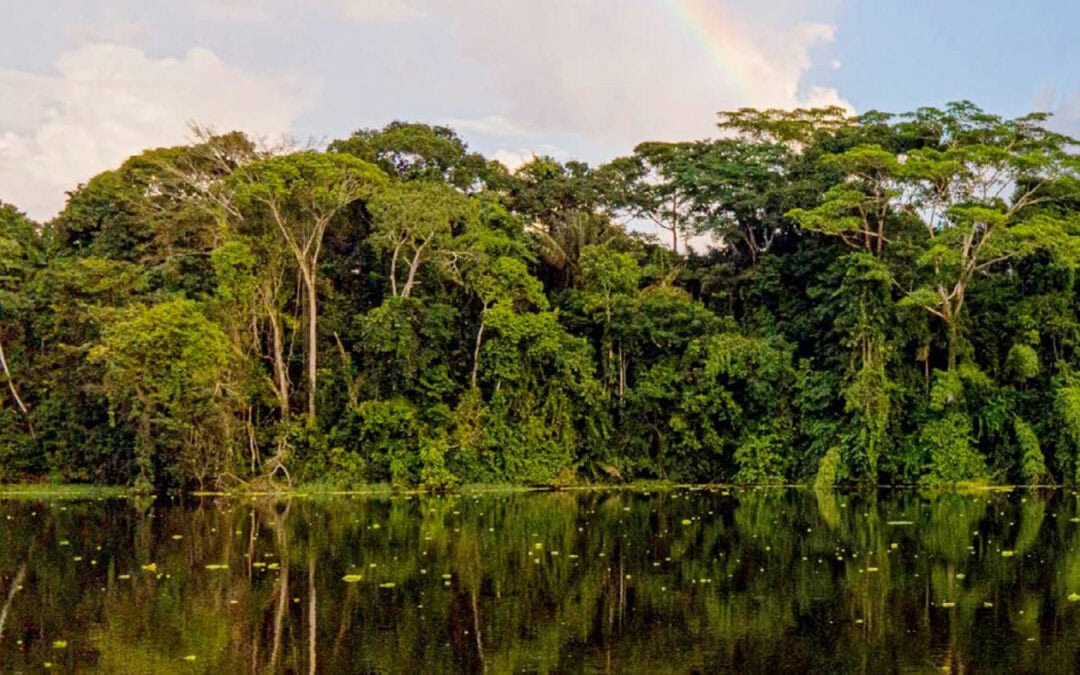 Estudios de debida diligencia ambiental y social para el financiamiento de un programa de conservación en el Área Protegida Yasuní – Ecuador- Ecuador