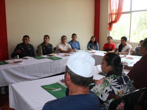 Multi-stakeholder dialogue process for the La Plata mining project – Ecuador