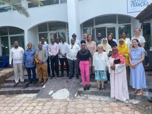 Training in project follow up with CSO – Djibouti